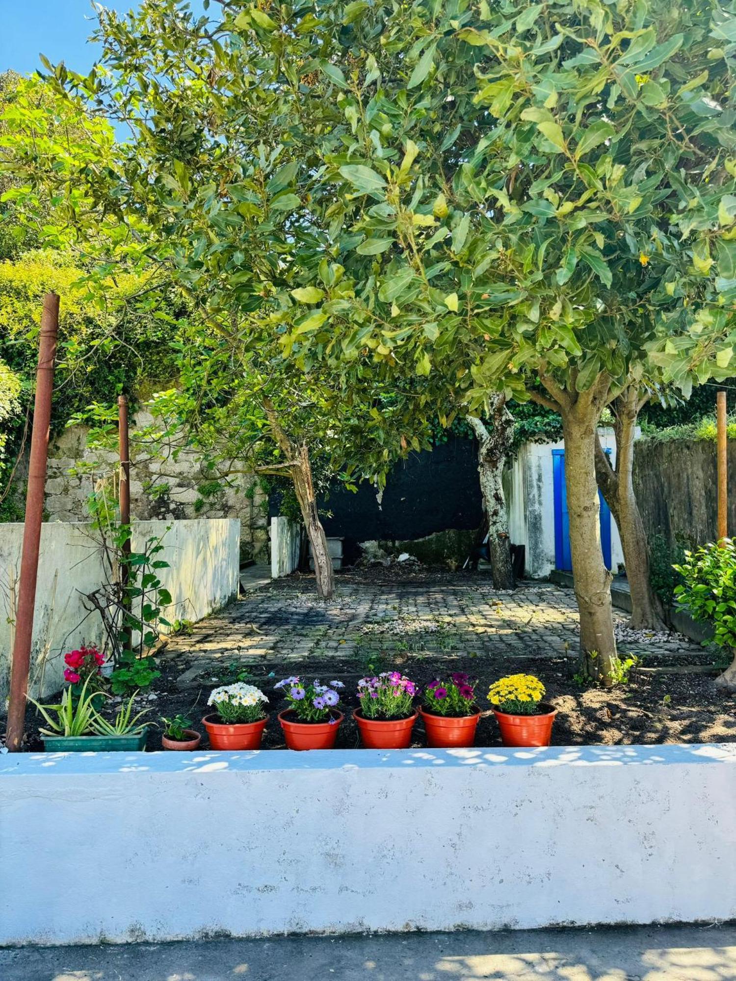 ホテル Porto Grand Sasimi House エクステリア 写真